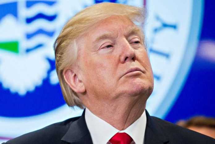 Donald Trump Donald Trump