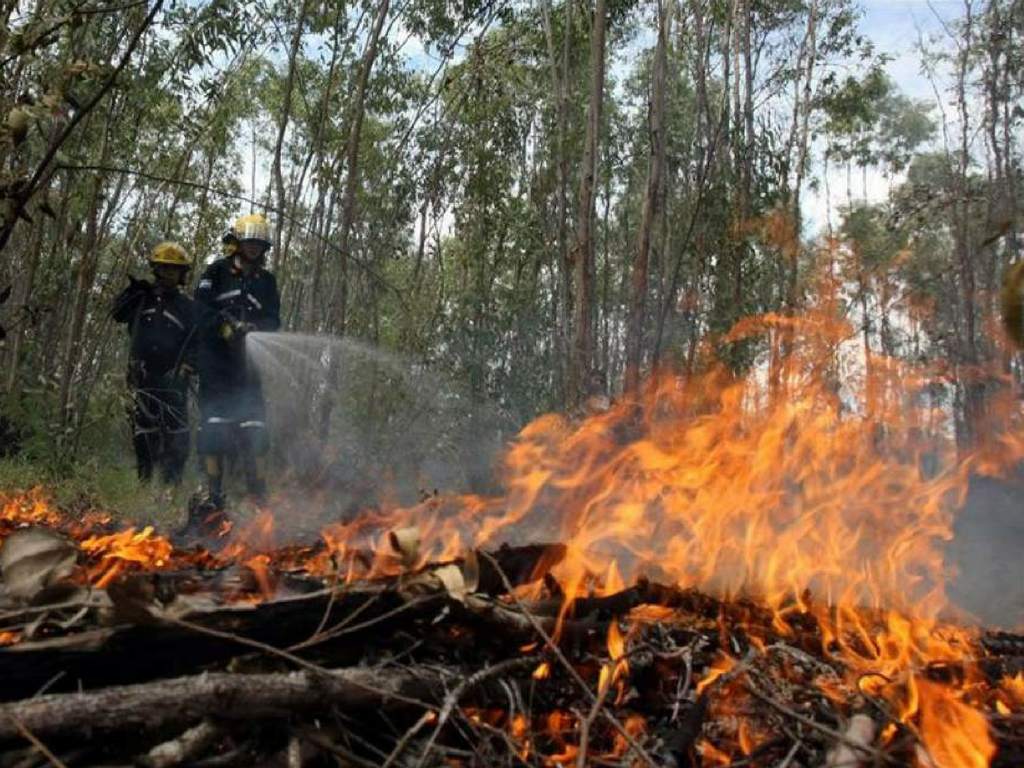 incendios