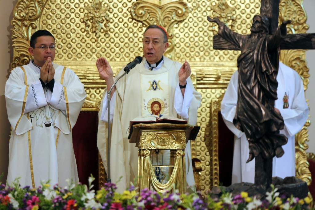 cardenal rodríguez