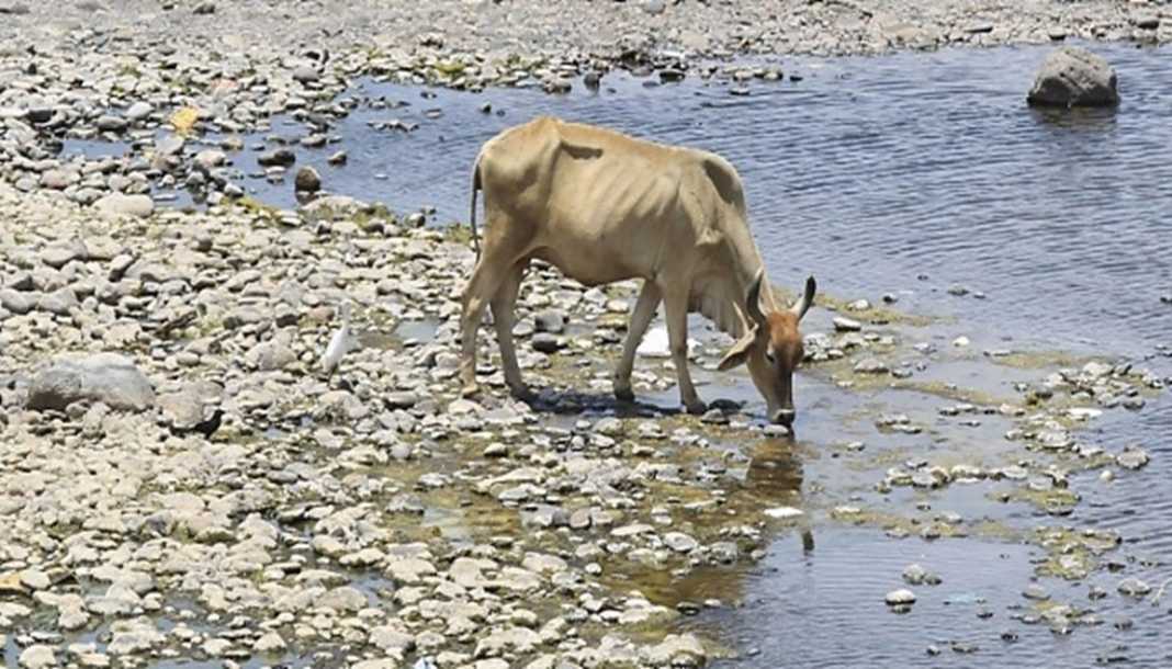 río Choluteca