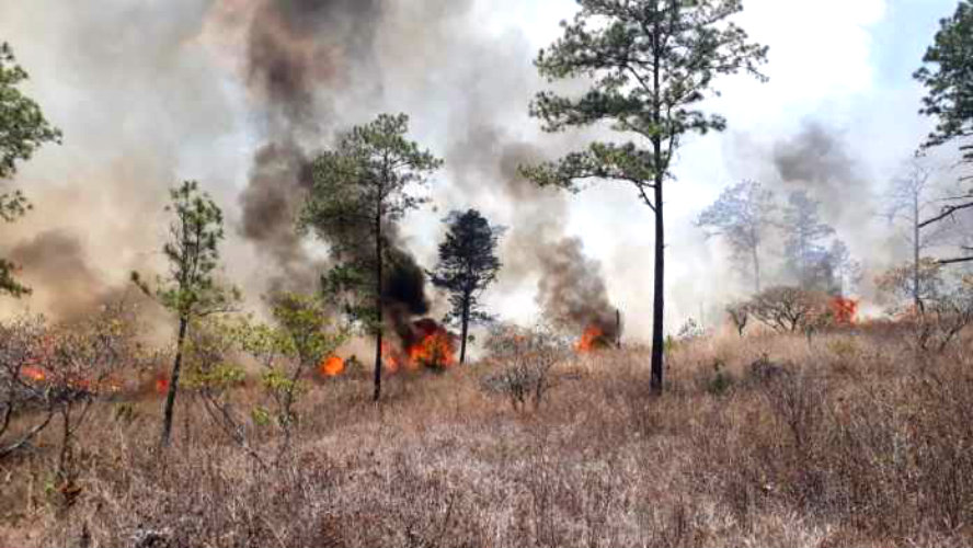 voraz incendio en La Tigra