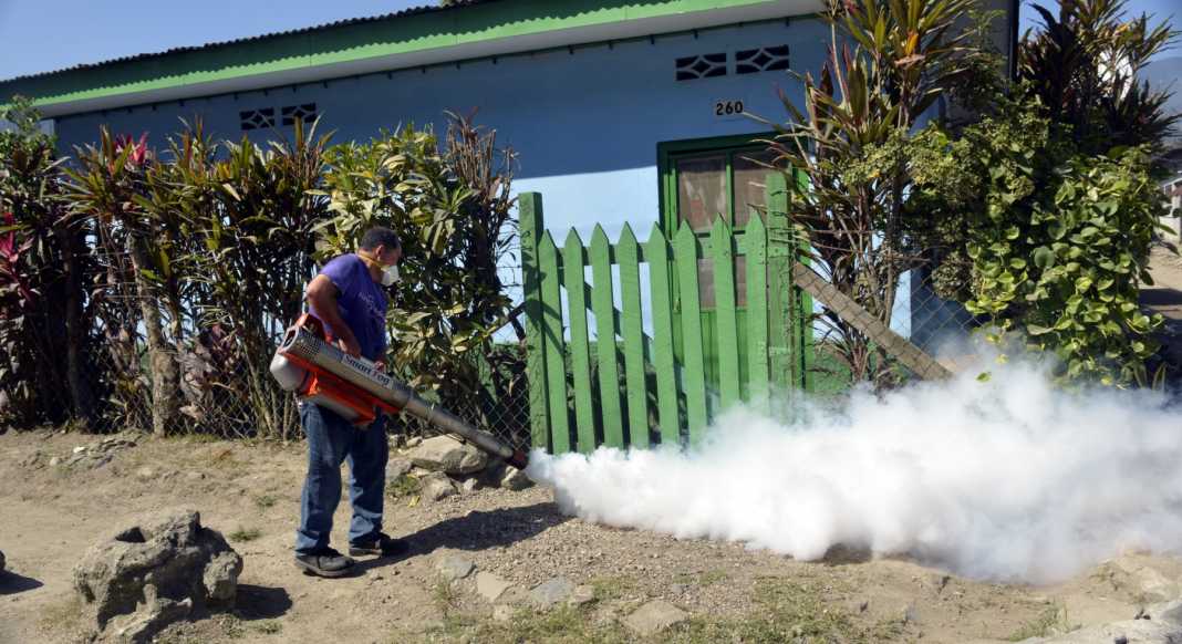 lucha contra el dengue