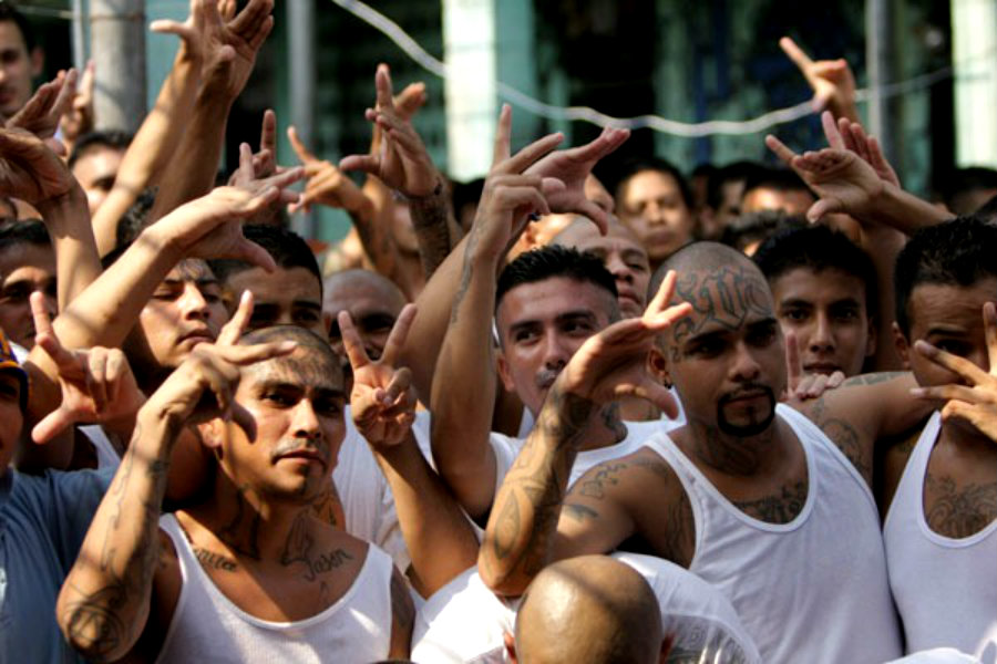 pandilleros