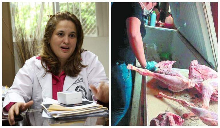carne decomisada