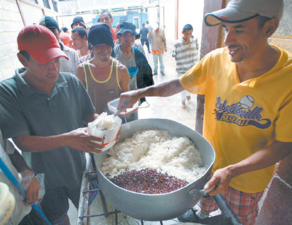 Alimentación