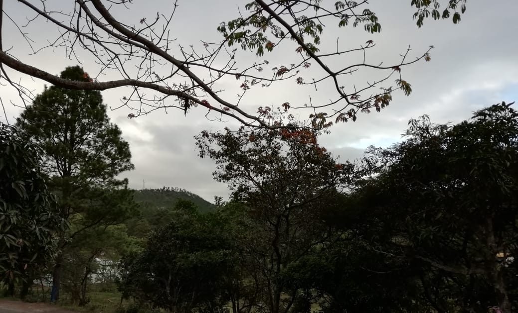 clima de esta tarde