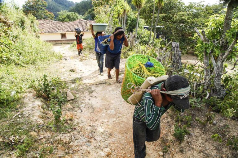 Sistema educativo precario es igual a empleos precarios: FOSDEH