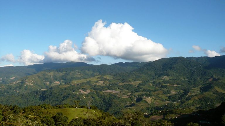 CLIMA DE HOY