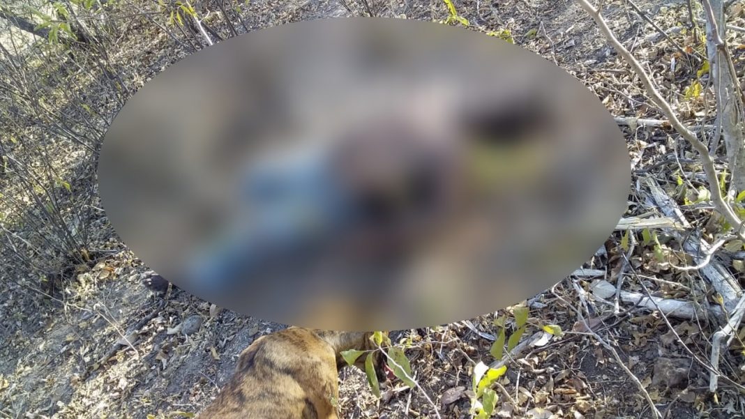En solar baldío encuentran cadáver