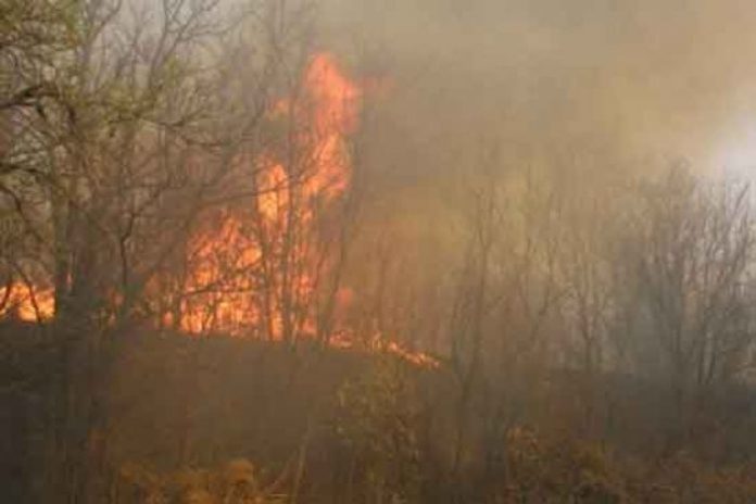 incendio en El Merendón