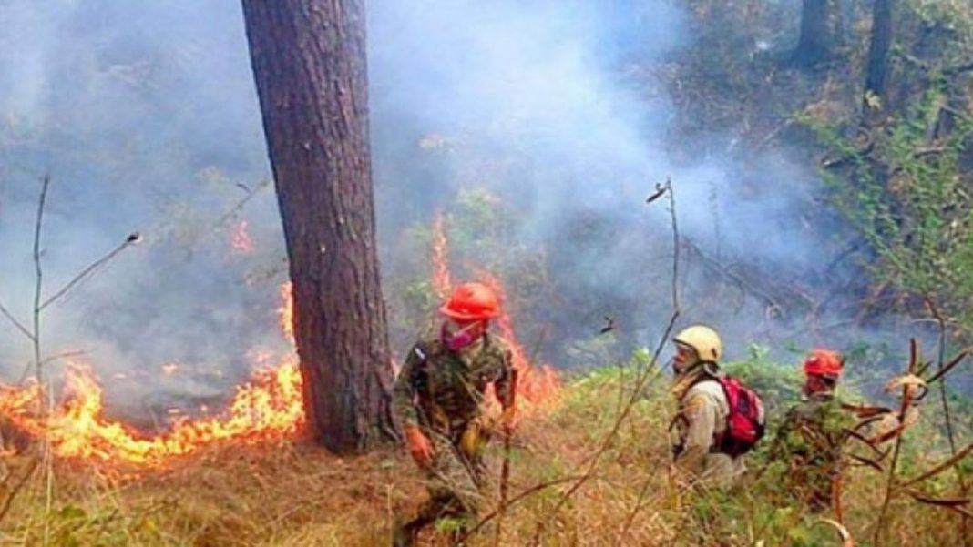 Incendios forestales