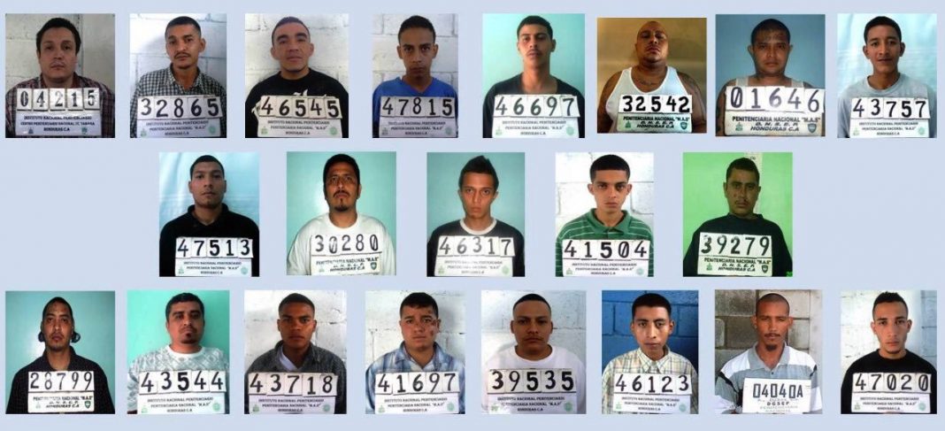 Criminólogo sobre 22 pandilleros absueltos: