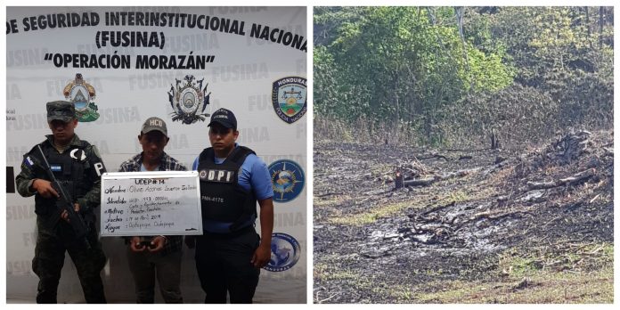 Las FFAA capturaron a un talador de árboles en Ocotepeque.