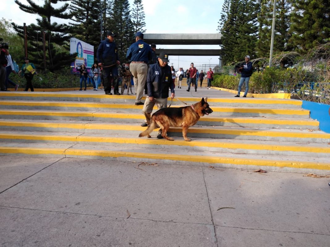 operativos caninos en UNAH