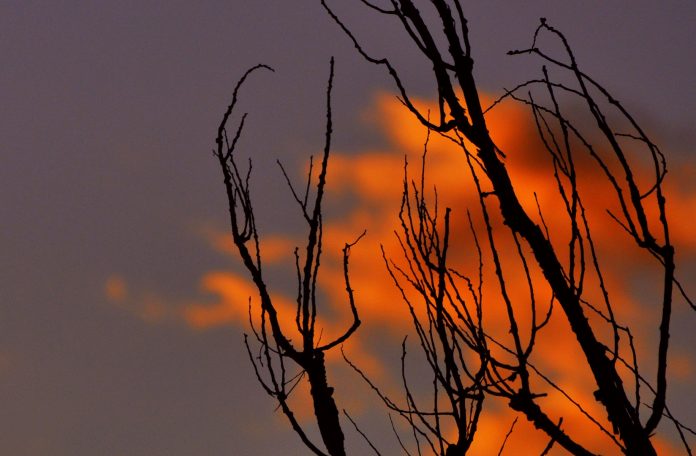 temperaturas cálidas