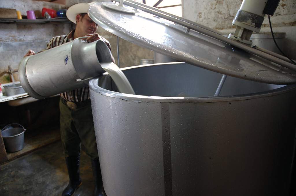 productores de leche