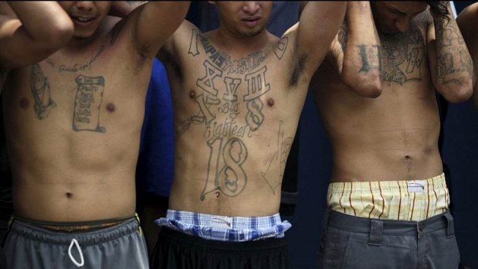 pandilleros
