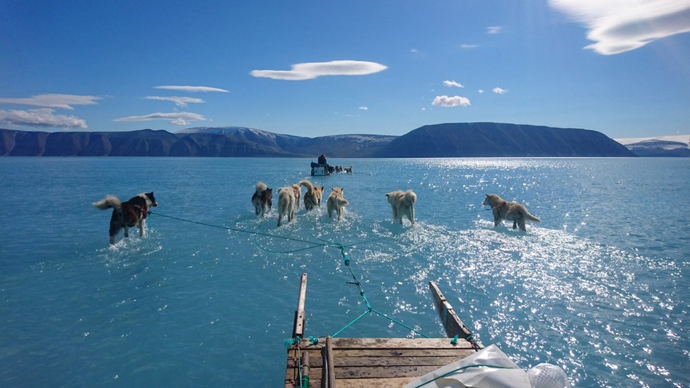 efectos de cambio climático