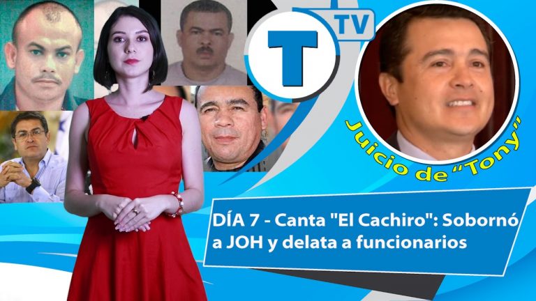 tiempo tv