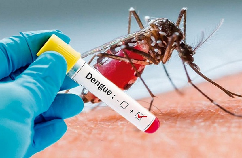 Dengue en Honduras