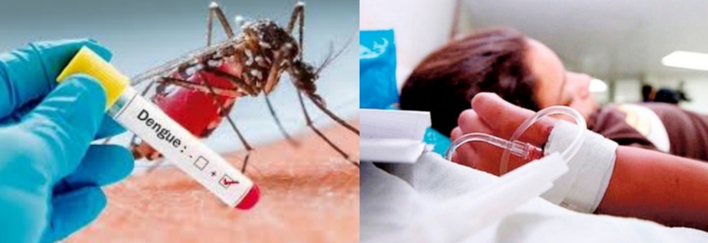 Dengue
