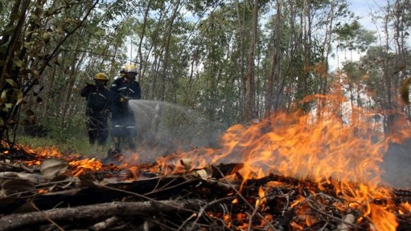 Incendios