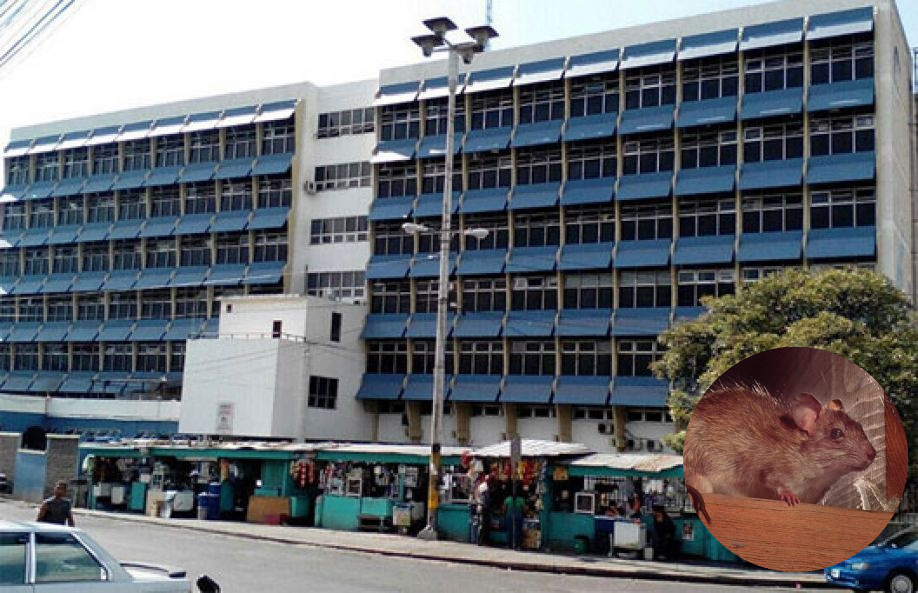 Hospital