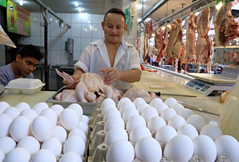 productores avícolas