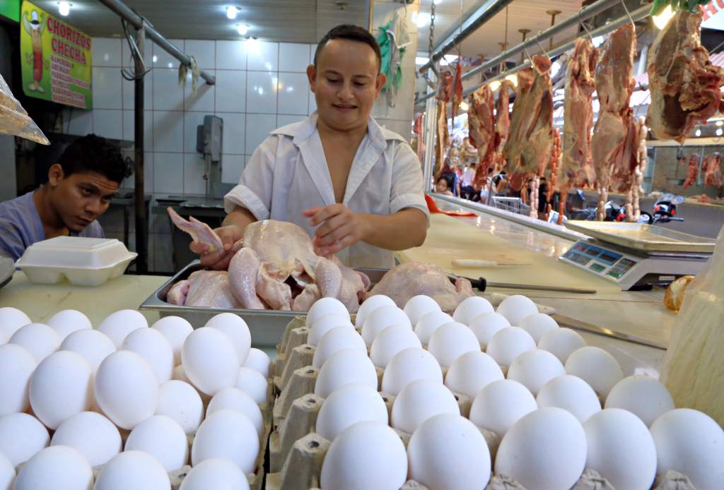 productores avícolas