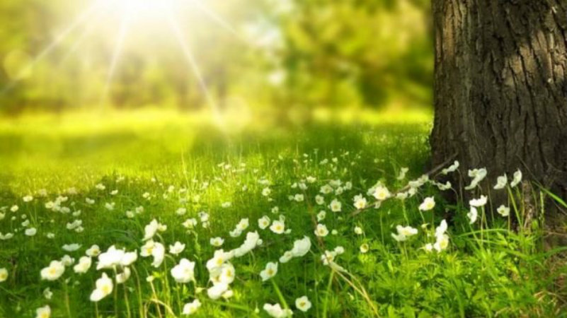 Primavera