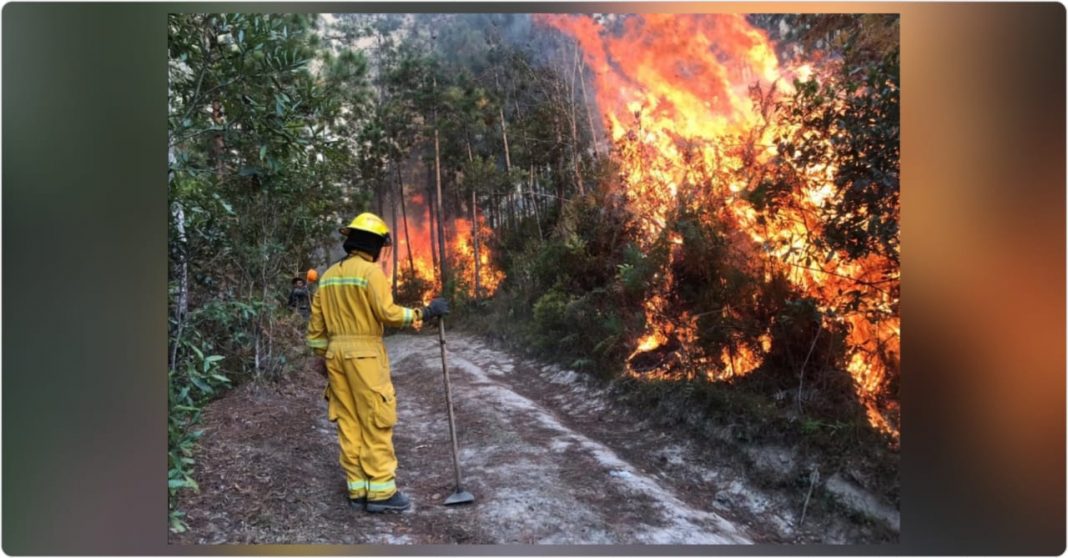 incendios