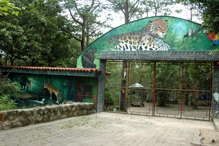 zoológico