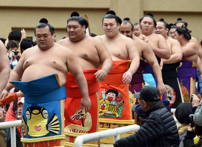 sumo