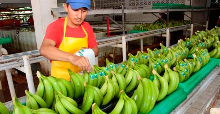 Chiquita
