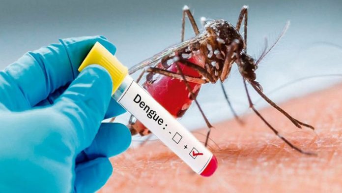 dengue