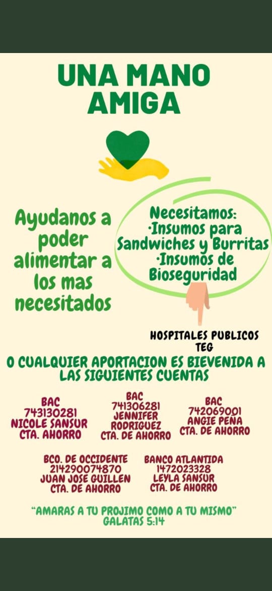 alimentos