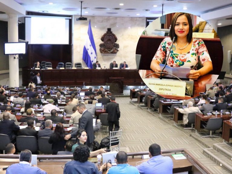 Ley Integral de Emergencia contra la Violencia hacia las Mujeres
