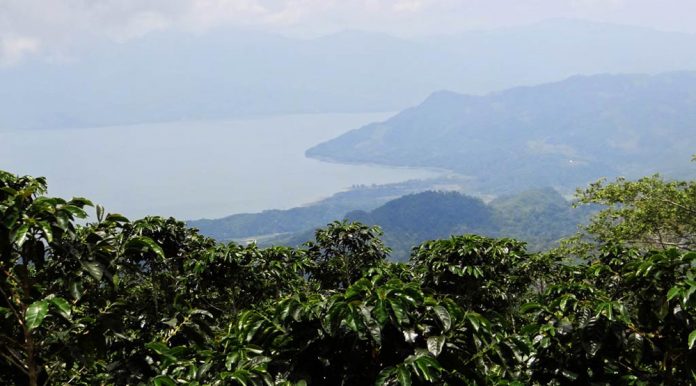 Parque Nacional Montaña de Santa Bárbara