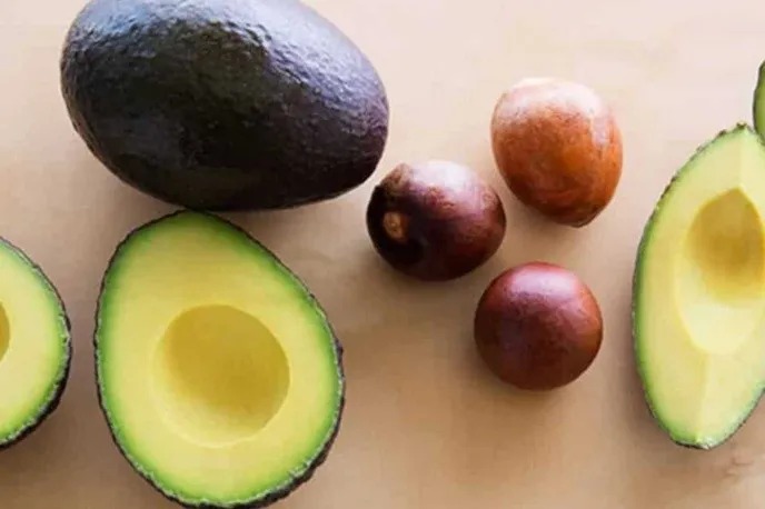 tinte semilla de aguacate