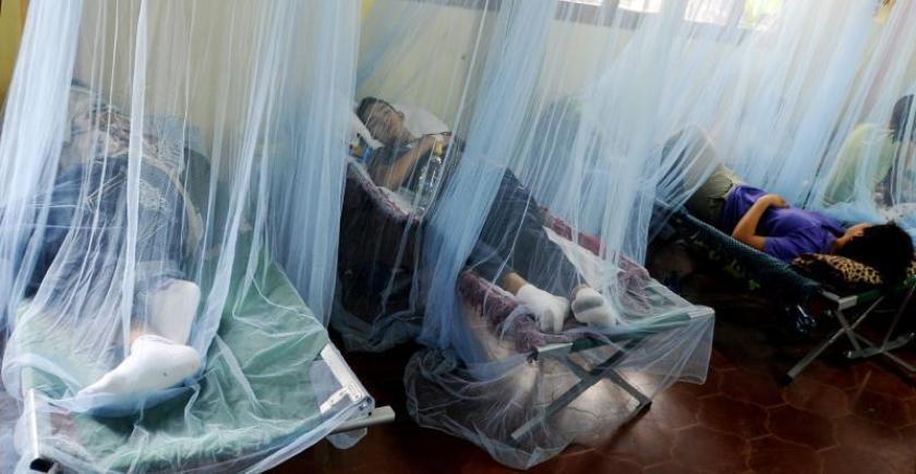 Dengue