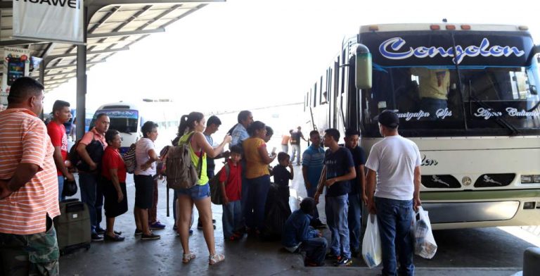 buses funcionando en sps