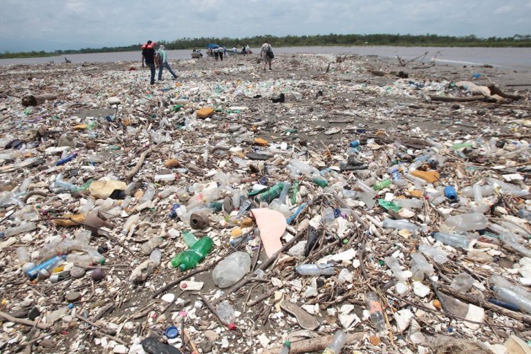basura playas de Cortés