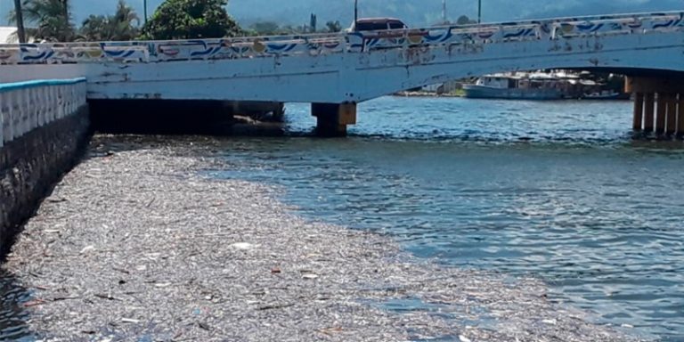 Laguna de Alvarado sitio Ramsar