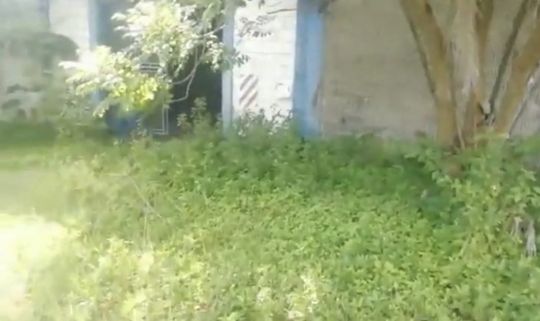 matan a mujer en bodega de choloma