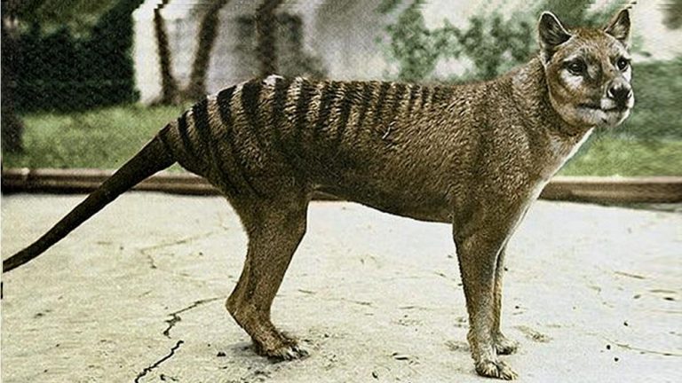 Un día en la Historia: Esto aconteció un 07 de septiembre de…