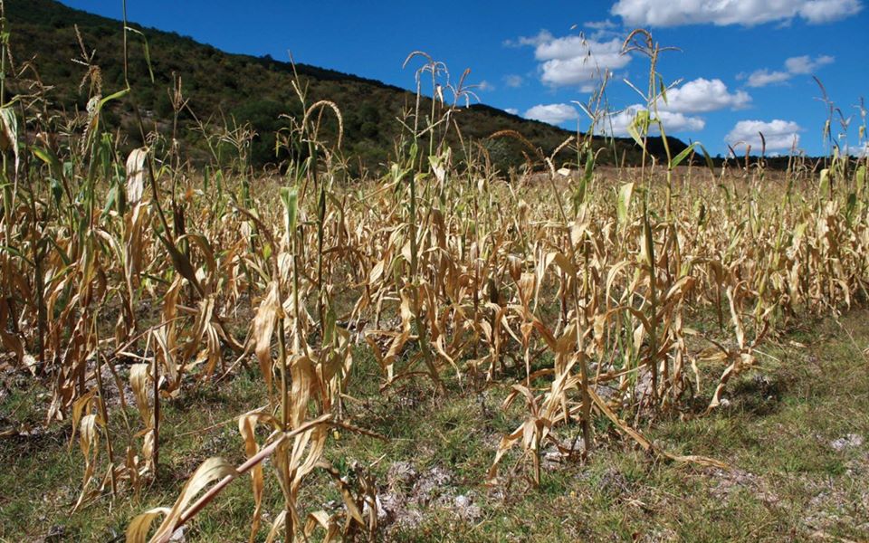 Tercera Comunicación Sobre el Cambio Climático