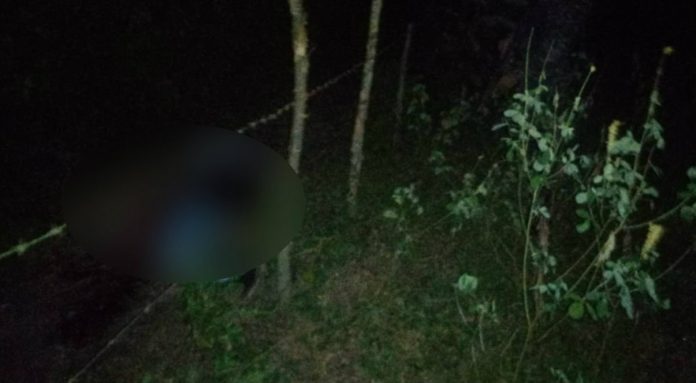 masacre La Ceiba