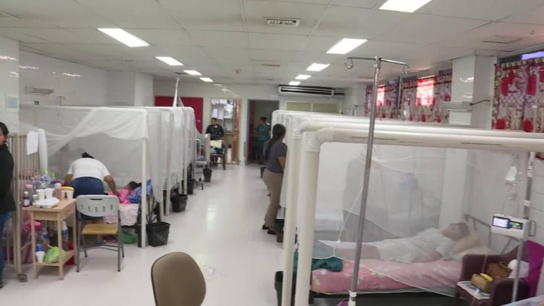 casos de dengue en Cortés