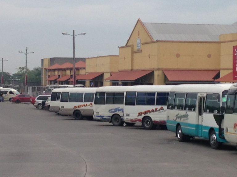 nuevas empresas transporte interurbano