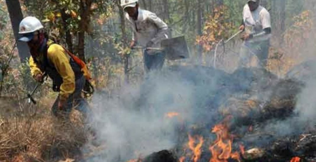 ICF incendios bosques